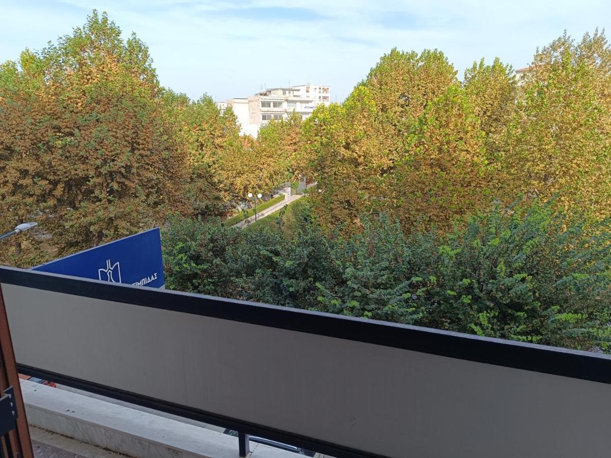 Central Apartment'S In Trikala 2 מראה חיצוני תמונה